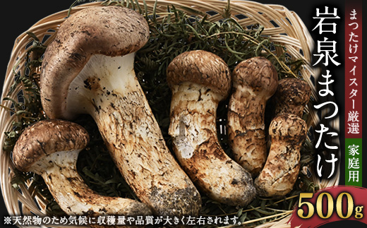 <自家用>岩泉まつたけ 500g【1421552】 1057589 - 岩手県岩泉町
