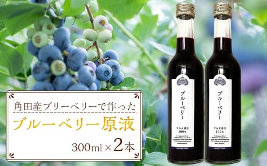 ブルーベリー 原液 600ml ( 300ml × 2本 ) 果物 果実 くだもの フルーツ 飲料 果実飲料 ドリンク 完熟 小粒 アントシアニン 人気 おすすめ 宮城