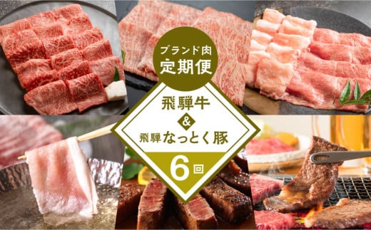 【定期便6回】 飛騨牛 ＆ なっとく豚 ブランド肉 定期便 6回 牛肉 豚肉 (ステーキ / すき焼き / しゃぶしゃぶ / 焼き肉) カルビ イチボ お楽しみ 下呂温泉 おすすめ ブランド牛 赤身 霜降り 肉ギフト 国産 焼肉 豚しゃぶ ギフト 100000円 岐阜県 下呂市 天狗 菊の井ミート 1201337 - 岐阜県下呂市