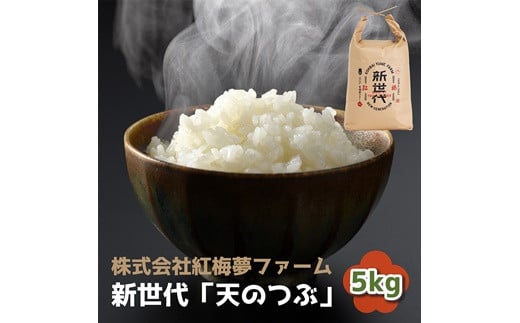 新世代 「天のつぶ」 5kg × 1袋 精米 紅梅夢ファーム 令和6年産 5キロ 新米 白米 ごはん ブランド米 南相馬 福島 オリジナル 品種 福島県産 お取り寄せ 炊き立て 送料無料 ふるさと納税 オンライン申請【0402001】 1016748 - 福島県南相馬市