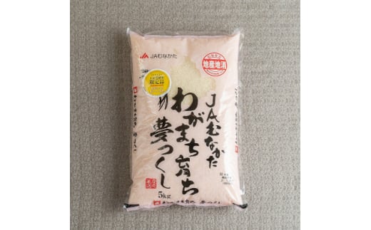 ＜毎月定期便＞福岡県産米『夢つくし』5kg(大野城市)全6回【4058578】