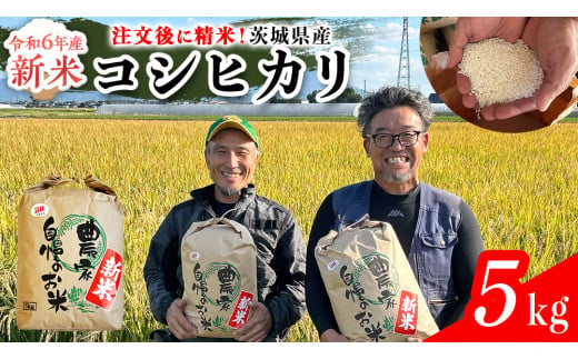 【令和6年新米】茨城県産 コシヒカリ 5kg 令和6年産 新米 単一原料米 精米 米 お米 コメ 白米 こしひかり 茨城県 [BC084sa]	