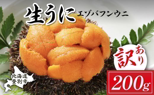 訳あり 規格外品 無添加 エゾバフンウニ 塩水パック 200g 配送期間B:10月下旬〜11月下旬迄 うに ウニ 雲丹 生うに バフンウニ 塩水 パック詰め ふるさと納税 北海道 登別市