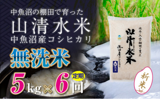 【令和6年産】【定期便／全12回】玄米5kg　新潟県魚沼産コシヒカリ「山清水米」十日町市 米 992274 - 新潟県十日町市