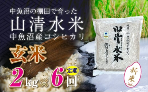 【令和6年産】【定期便／全6回】玄米2kg　新潟県魚沼産コシヒカリ「山清水米」十日町市 米 1025210 - 新潟県十日町市