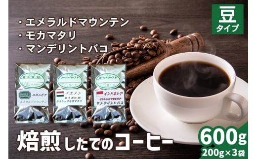 焙煎したてのコーヒー豆 3袋 (エメラルドマウンテン・クラシックモカマタリ・マンデリントバコ)【豆】[0270] 1540535 - 神奈川県伊勢原市