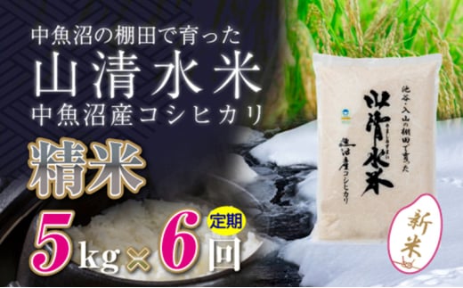 【令和6年産】【定期便／全6回】精米5kg　新潟県魚沼産コシヒカリ「山清水米」十日町市 米 992255 - 新潟県十日町市