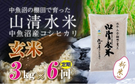 【令和6年産】【定期便／全6回】玄米3kg　新潟県魚沼産コシヒカリ「山清水米」十日町市 米 992266 - 新潟県十日町市