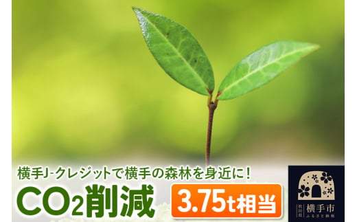 横手J‐クレジットで横手の森林を身近に! CO2削減 3.75t相当 1021425 - 秋田県横手市