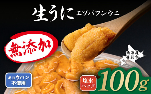 無添加 極上 エゾバフンウニ 塩水パック 100g 配送期間B：10月下旬～11月下旬迄 高級 うに ウニ 雲丹 生うに バフンウニ 塩水 パック詰め ふるさと納税 北海道 登別市