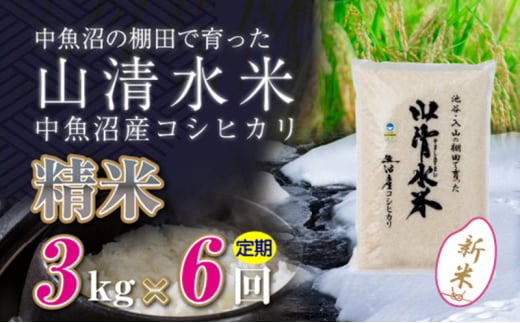 【令和6年産】【定期便／全6回】精米3kg　新潟県魚沼産コシヒカリ「山清水米」十日町市 米 992254 - 新潟県十日町市