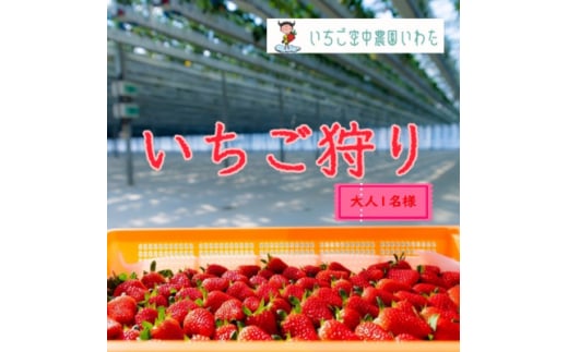 いちご空中農園いわた　いちご狩り入園券【1450154】 1099642 - 静岡県磐田市