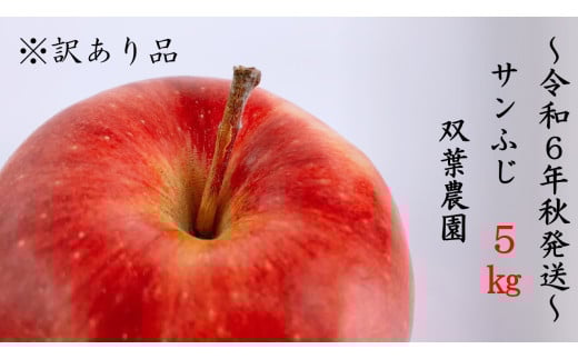 237 ※訳あり品 りんご サンふじ 5kg【双葉農園】 568323 - 長野県辰野町