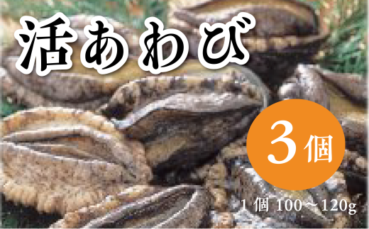 天然活あわび 3個入り（1個100～120g）お刺身 鮑 ステーキ 産地直送 冷蔵