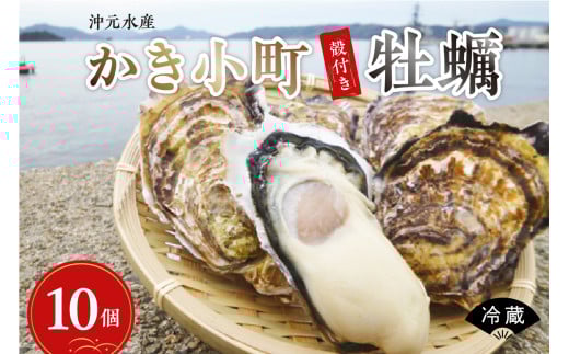 【先行受付】【2026年1月中旬より発送】沖元水産 かき小町 殻付き 牡蠣 10個 牡蠣ナイフ、レシピ付 ku009-002-25 2063026 - 広島県呉市
