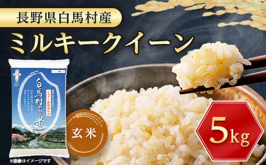 ＜令和6年産 新米＞白馬産ミルキークイーン＜玄米＞5kg【1537725】 1445167 - 長野県白馬村