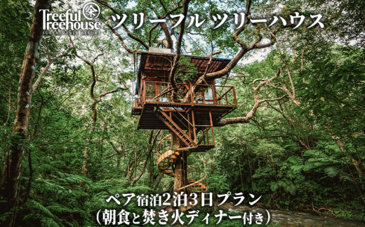 ツリーフルツリーハウス　2泊3日　ペア宿泊券（朝食と焚き火ディナー付き） ５つ星 ホテル 宿泊 宿 リゾート バカンス 体験 森林浴 森 自然 やんばる 朝食付き ディナー 特別 旅行 新婚 カップル ペア 沖縄 おすすめ 811293 - 沖縄県名護市