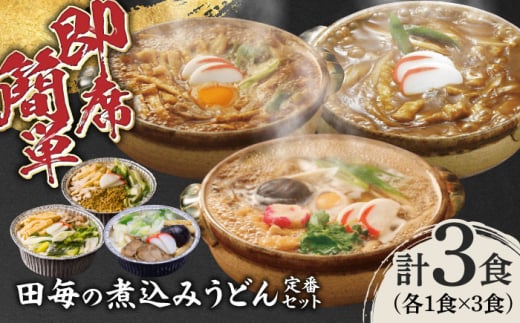 岐阜の味　田毎の煮込みうどん定番セット 即席 カンタン 麺 岐阜市/ラボレムス [ANFP003]