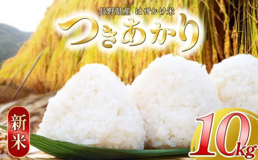 白米 つきあかり 10㎏ | 米 つきあかり 白米 精米 お米 栽培期間中無農薬 塩尻市 長野県 信州 