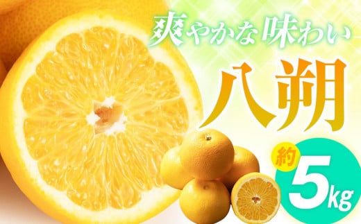 爽やかな味わい 八朔 約5kg【2025年2月中旬～2025年3月下旬配送】 415229 - 香川県高松市