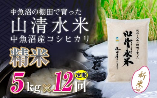 【令和6年産】【定期便／全12回】精米5kg　新潟県魚沼産コシヒカリ「山清水米」十日町市 米 992271 - 新潟県十日町市