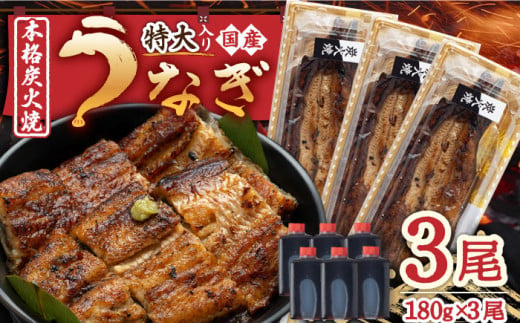 国産 うなぎ 本格炭火焼 蒲焼 特大 3尾 計540g（180g×3尾）/炭火焼古賀 [UDH013] 手焼き ウナギ 鰻 蒲焼き かば焼き 605334 - 佐賀県武雄市