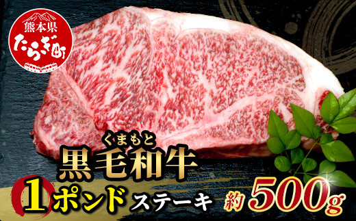 【年内お届け】くまもと黒毛和牛 1ポンド ステーキ 約500g《 黒毛 和牛 1 pound ステーキ 500g ブランド牛 上質 常備 冷凍 熊本県 》113-0512-R612 1538603 - 熊本県多良木町