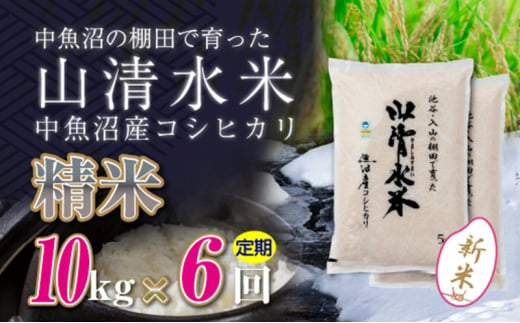 【令和6年産】【定期便／全6回】精米10kg　新潟県魚沼産コシヒカリ「山清水米」十日町市 米 992256 - 新潟県十日町市