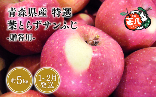 １～２月発送 特選 甚八りんご 葉とらずサンふじ5kg 【マルジンサンアップル 1月 2月 青森県産 平川市 りんご 葉とらずサンふじ 5kg 特選 贈答用】