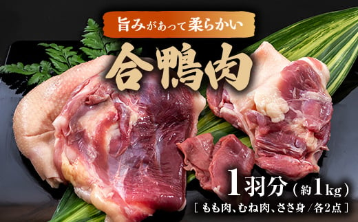 合鴨肉　1羽分(もも肉、むね肉、ささ身　各2ずつ)【1278582】