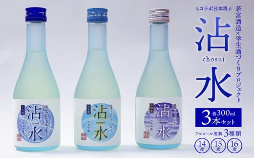 日本酒 沾水（Chosui）3本セット（14度・15度・16度 各300ml）【 日本酒 酒 若宮酒造 贈り物 国産 プレゼント ギフト 贈答 こだわり 特産品 オリジナル 綾部 京都 】 1461871 - 京都府綾部市