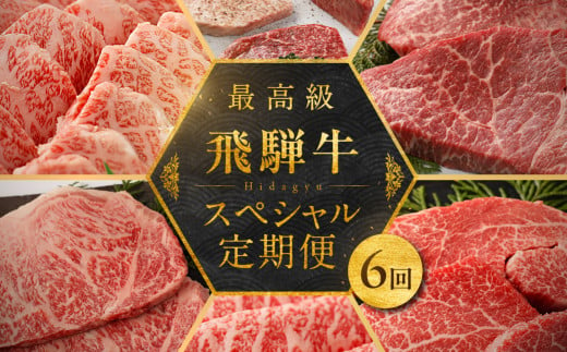 【定期便 6回】飛騨牛食べ尽くし定期便 6カ月（飛騨牛すき焼き 焼肉 ステーキ ）毎月 食べ比べ ギフト 牛 牛肉 下呂温泉 飛騨萩原畜産直売店【冷凍】 1544280 - 岐阜県下呂市