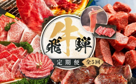 飛騨牛 定期便 全5回 約 2.2kg ( 300g 以上 × 5ヶ月 ) 牛肉 (すき焼き / ステーキ / しゃぶしゃぶ / 焼肉 ) | 肉 食べ比べ A5 岐阜 高山市 飛騨高山 岐阜県 人気 お楽しみ おすすめ ZZ015VP