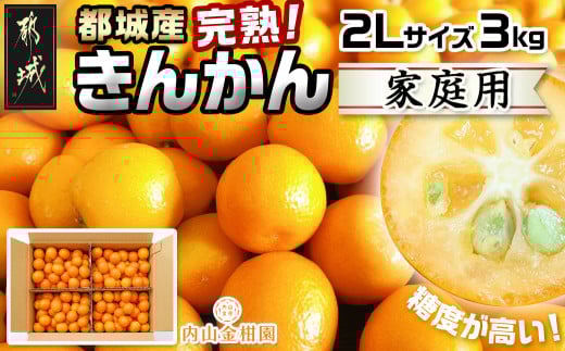 【先行受付！】【2月～3月お届け】都城産完熟きんかん 家庭用3kg (2Lサイズ)_18-B501_(都城市) 都城産 完熟きんかん きんかん 2Lサイズ 約3kg 柑橘類 2月～3月お届け 家庭用