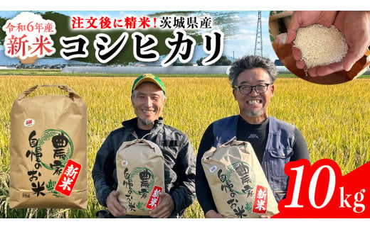 【令和6年新米】茨城県産 コシヒカリ 10kg 令和6年産 新米 単一原料米 精米 米 お米 コメ 白米 こしひかり 茨城県 [BC083sa]