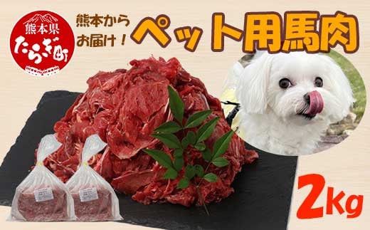 ペットフード 熊本加工 馬肉 切り落とし 【2kg】 ドッグ フード 無添加 無香料 ヘルシー 高栄養 馬刺し 冷凍 2キロ お肉専門店 熊本県 国内加工 041-0505