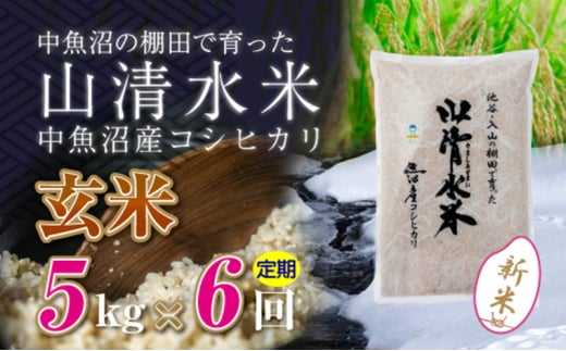 【令和6年産】【定期便／全6回】玄米5kg　新潟県魚沼産コシヒカリ「山清水米」十日町市 米 992267 - 新潟県十日町市