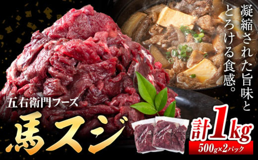 馬肉 馬スジ 500g × 2パック 1kg 五右衛門フーズ 《60日以内に出荷予定(土日祝除く)》 熊本県 球磨郡 山江村 馬肉 肉 国産 スジ カレー 煮込み おでん おかず 送料無料 1539342 - 熊本県山江村