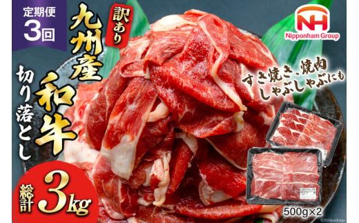 牛肉 訳あり 定期便 日本ハム 九州産和牛 切り落とし 500g 2p 3回 総計 3kg [日本ハムマーケティング 宮崎県 日向市 452061134] すき焼き しゃぶしゃぶ 赤身 小分け 冷凍 訳あり