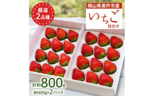 岡山県美作市産　厳選2品種いちご詰合せ(約400g×2パック)【1073697】 777999 - 岡山県美作市