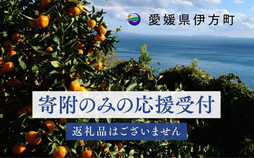 【返礼品なし】愛媛県伊方町・応援寄附500,000円（寄附のみの応援受付 ※返礼品はございません） 1539825 - 愛媛県伊方町