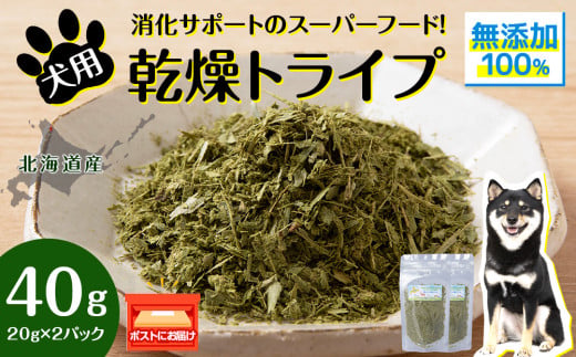 犬 おやつ 無添加 国産 乾燥グリーントライプ 40g (20g×2) ペット エサ 餌 浜頓別 北海道 1547881 - 北海道浜頓別町