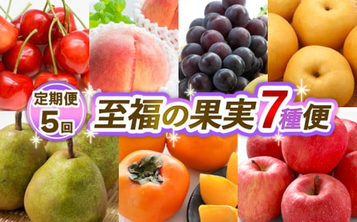 定期便】【令和7年産先行予約】 山形県鶴岡産 旬のお楽しみフルーツセット(果物) 和梨＆シャインマスカット＆ラ・フランス＋庄内柿＆りんご (計4回、5種)  産直あぐり - 山形県鶴岡市｜ふるさとチョイス - ふるさと納税サイト