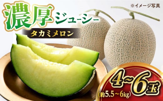  高糖度 メロン 【☆先行予約☆】 タカミ メロン 4～6玉 (計約5.5kg～6kg) メロン めろん タカミメロン 果物 フルーツ 長崎 西海市 贈答 ギフト ＜白石農園＞ [CBI002] 318465 - 長崎県西海市