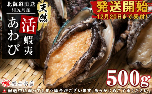 【発送開始】北海道 利尻島産 直送！天然 活えぞあわび 500g 鮑 海鮮 冷蔵 お刺身 魚介 お祝い 鮑 活き 天然【福士水産】 877600 - 北海道利尻富士町