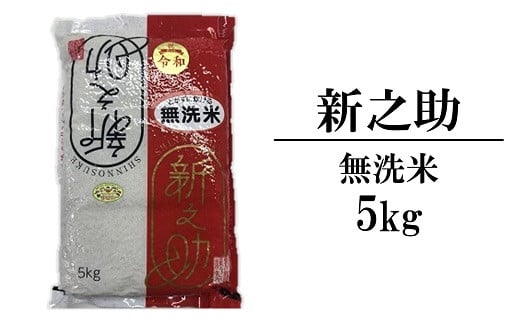 【令和6年産新米】新之助 無洗米 5kg 中村農研 しんのすけ[Y0296] 236304 - 新潟県柏崎市