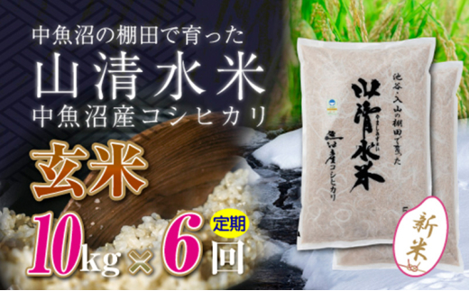 【令和6年産】【定期便／全6回】玄米10kg　新潟県魚沼産コシヒカリ「山清水米」十日町市 米 992268 - 新潟県十日町市