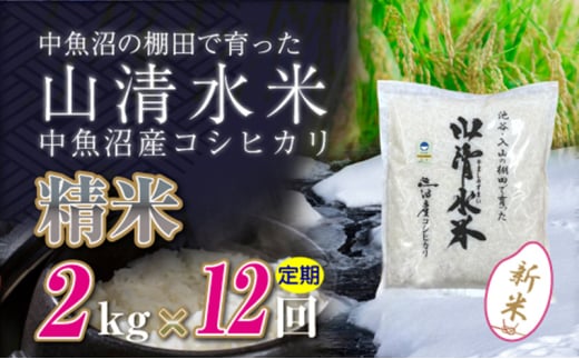 【令和6年産】【定期便／全12回】精米2kg　新潟県魚沼産コシヒカリ「山清水米」十日町市 米 1025207 - 新潟県十日町市