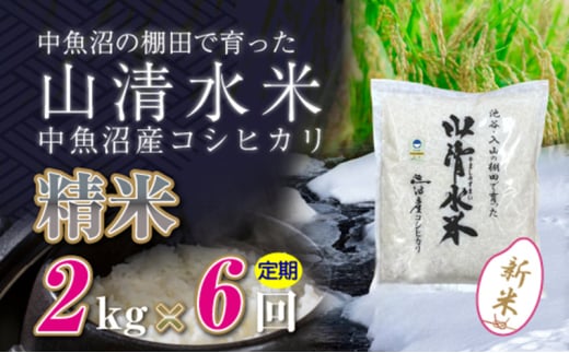 【令和6年産】【定期便／全6回】精米2kg　新潟県魚沼産コシヒカリ「山清水米」十日町市 米 1025206 - 新潟県十日町市