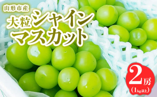 山形市産 大粒シャインマスカット 1kg以上 2房 【令和7年産先行予約】FS24-763 - 山形県山形市｜ふるさとチョイス - ふるさと納税サイト
